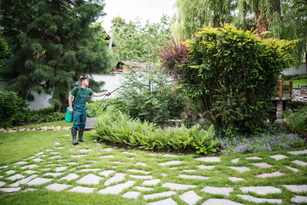 Best Best Pest Control Companies  in Meadow Lake, NM