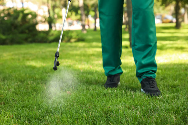 Best Insect Control  in Meadow Lake, NM