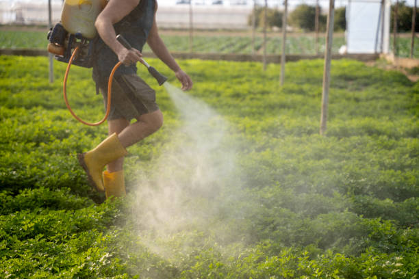 Best Pest Inspection Near Me  in Meadow Lake, NM