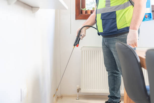 Wasp Removal Services in Meadow Lake, NM