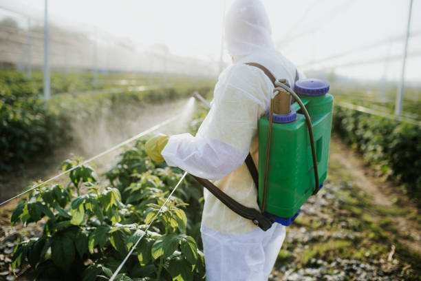 Best Emergency Pest Control  in Meadow Lake, NM